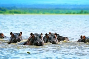 Excursión de un día a la Puerta de Ell con paseo en barco por el lago Naivasha