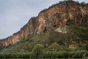 Tour di un giorno di 𝐇ell's Gate con giro in barca nel lago Naivasha