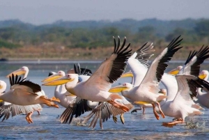 Excursión de un día a la Puerta de Ell con paseo en barco por el lago Naivasha