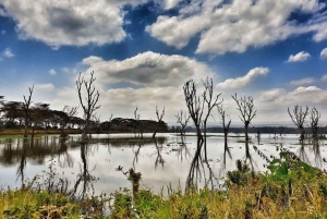 Excursión de un día a la Puerta de Ell con paseo en barco por el lago Naivasha
