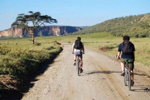 Excursión de un día a la Puerta de Ell con paseo en barco por el lago Naivasha