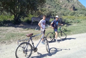 Excursión de un día a la Puerta de Ell con paseo en barco por el lago Naivasha