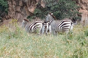 Excursión de un día a la Puerta de Ell con paseo en barco por el lago Naivasha