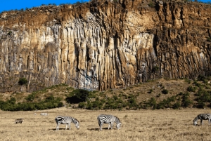 Excursión de un día a la Puerta de Ell con paseo en barco por el lago Naivasha