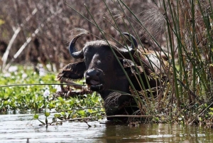 Excursión de un día a la Puerta de Ell con paseo en barco por el lago Naivasha