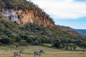 Excursión de un día a la Puerta de Ell con paseo en barco por el lago Naivasha