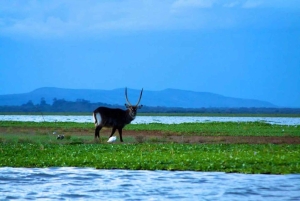Excursión de un día a la Puerta de Ell con paseo en barco por el lago Naivasha