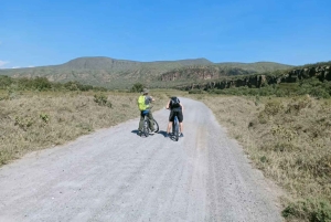 Excursión de un día a la Puerta de Ell con paseo en barco por el lago Naivasha