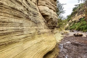 Hellsgate ja Naivasha-järven päiväretki Nairobista