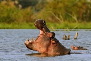 Hellsgate ja Naivasha-järven päiväretki Nairobista
