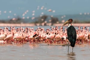 Hellsgate ja Naivasha-järven päiväretki Nairobista