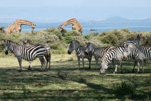 Hellsgate ja Naivasha-järven päiväretki Nairobista