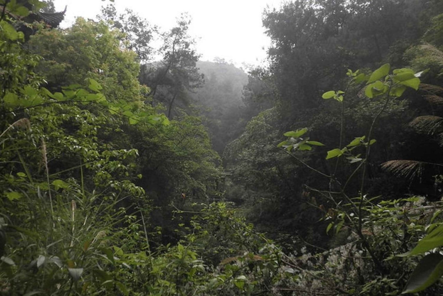 Historic, Natural Wonders: Zaina Falls & Mau Mau Cave Hike