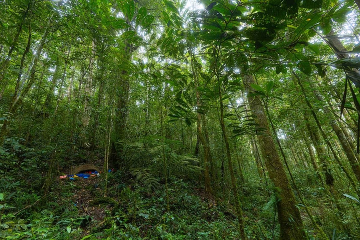 Historic, Natural Wonders: Zaina Falls & Mau Mau Cave Hike