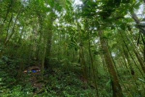 歴史と自然の驚異：ザイナ滝とマウマウ洞窟ハイキング