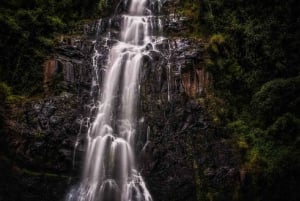 歴史と自然の驚異：ザイナ滝とマウマウ洞窟ハイキング