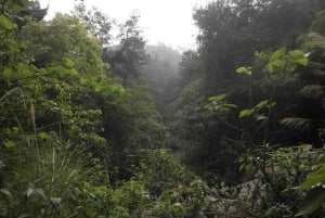 Historic, Natural Wonders: Zaina Falls & Mau Mau Cave Hike