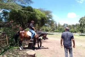 Passeio de cavalo em Nairobi