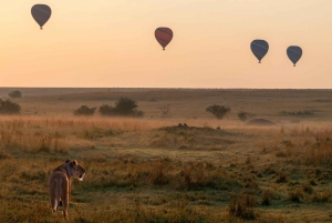 Hot Air Balloon Safari Maasai Mara with Champagne Breakfast