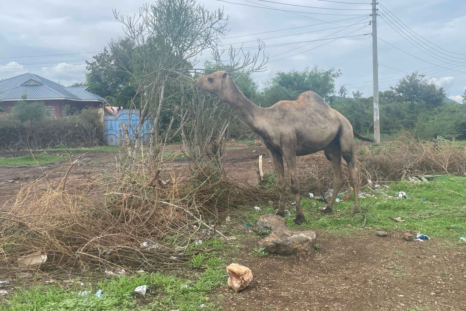 Isiolo: Motorcycle Ride Through Nature, and Hidden Wonders