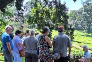 Kaimbethu tea farm tour and lunch package
