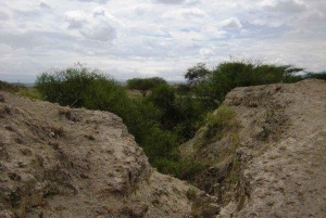 Каджиадо: экскурсия по доисторическому месту раскопок Олоргесайли