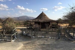 Каджиадо: экскурсия по доисторическому месту раскопок Олоргесайли