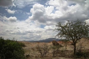 Каджиадо: экскурсия по доисторическому месту раскопок Олоргесайли