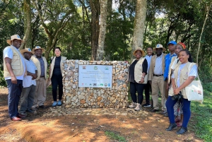 Forêt de Kakamega : Safari d'observation des oiseaux