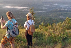 Forêt de Kakamega : Safari d'observation des oiseaux