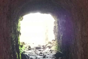 Forêt de Kakamega : Safari d'observation des oiseaux