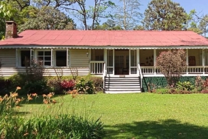 Forêt de Kakamega : Safari d'observation des oiseaux