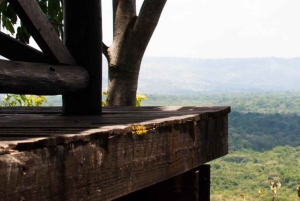 Forêt de Kakamega : Safari d'observation des oiseaux