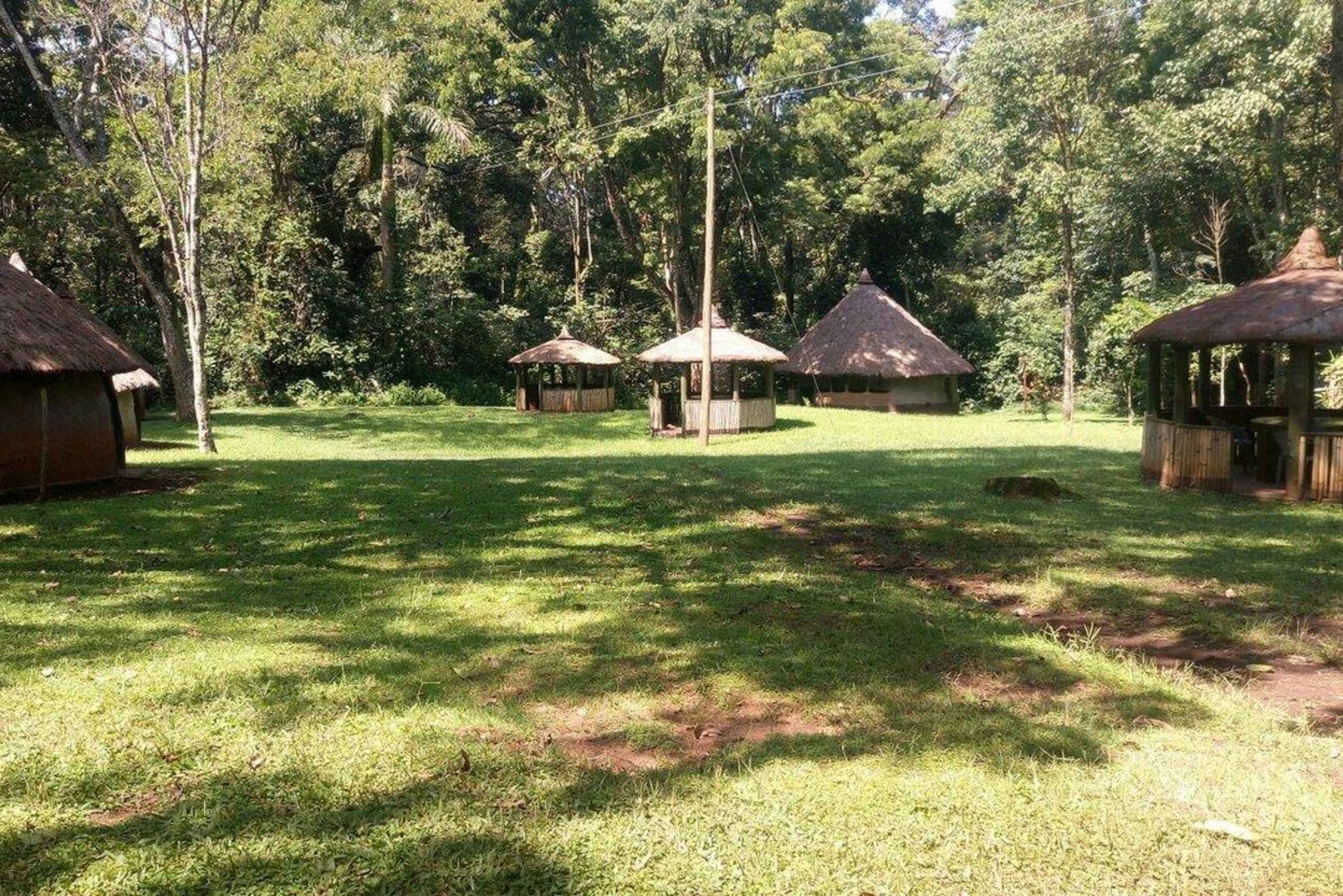 Kakamega Forest: Butterfly Walk with Naturalist Guide