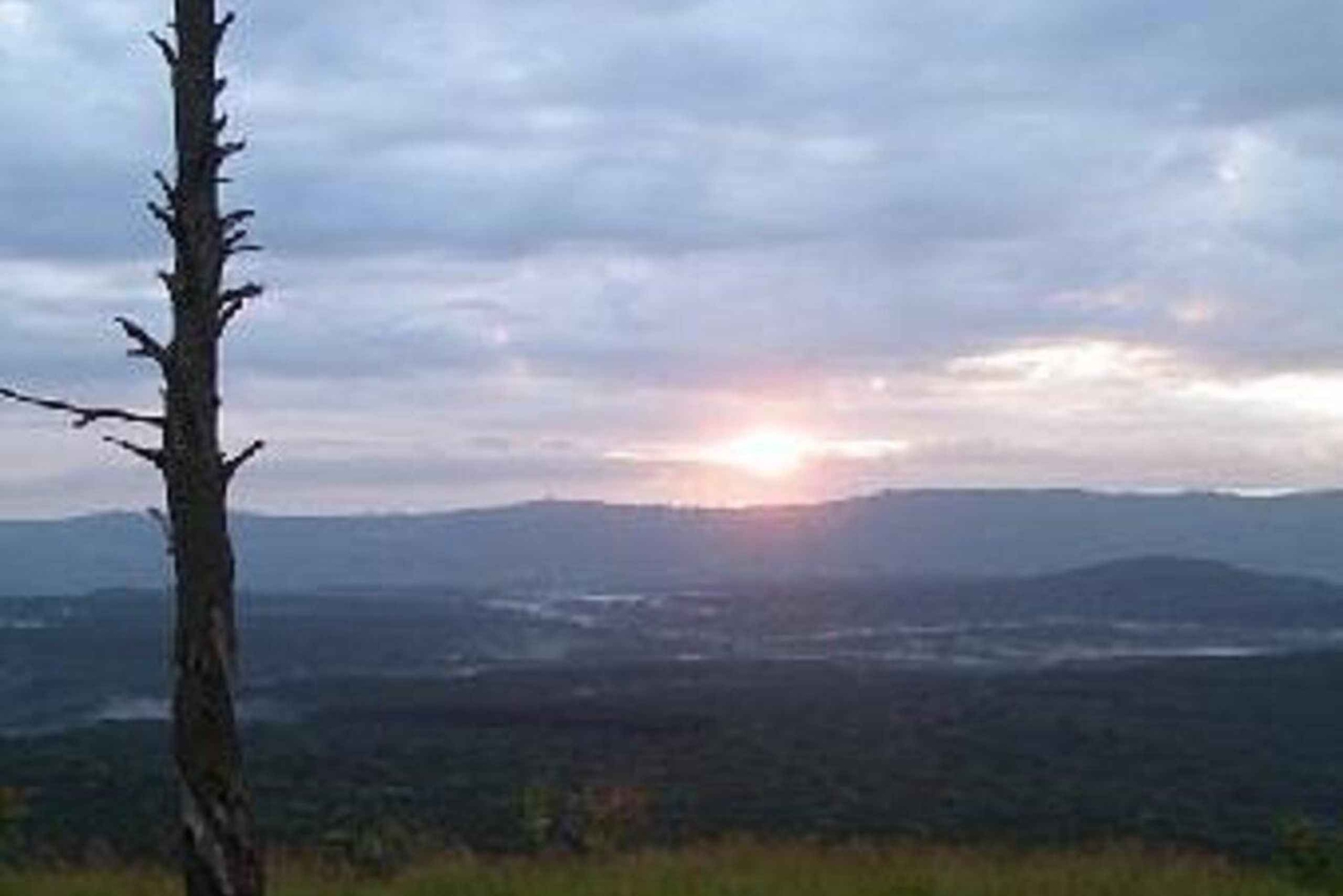 Kakamega Forest: Butterfly Walk with Naturalist Guide