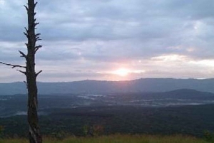 Kakamega Forest: Butterfly Walk with Naturalist Guide
