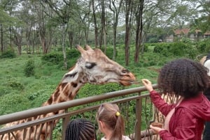 Karen Blixen, Beads factory and Giraffe Center Day Tour