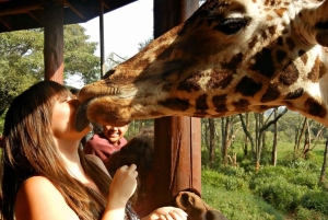 カレン・ブリクセン、ビーズ工場、キリンセンター、ボマスの1日ツアー