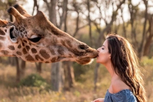 カレン・ブリクセン、ビーズ工場、キリンセンター、ボマスの1日ツアー