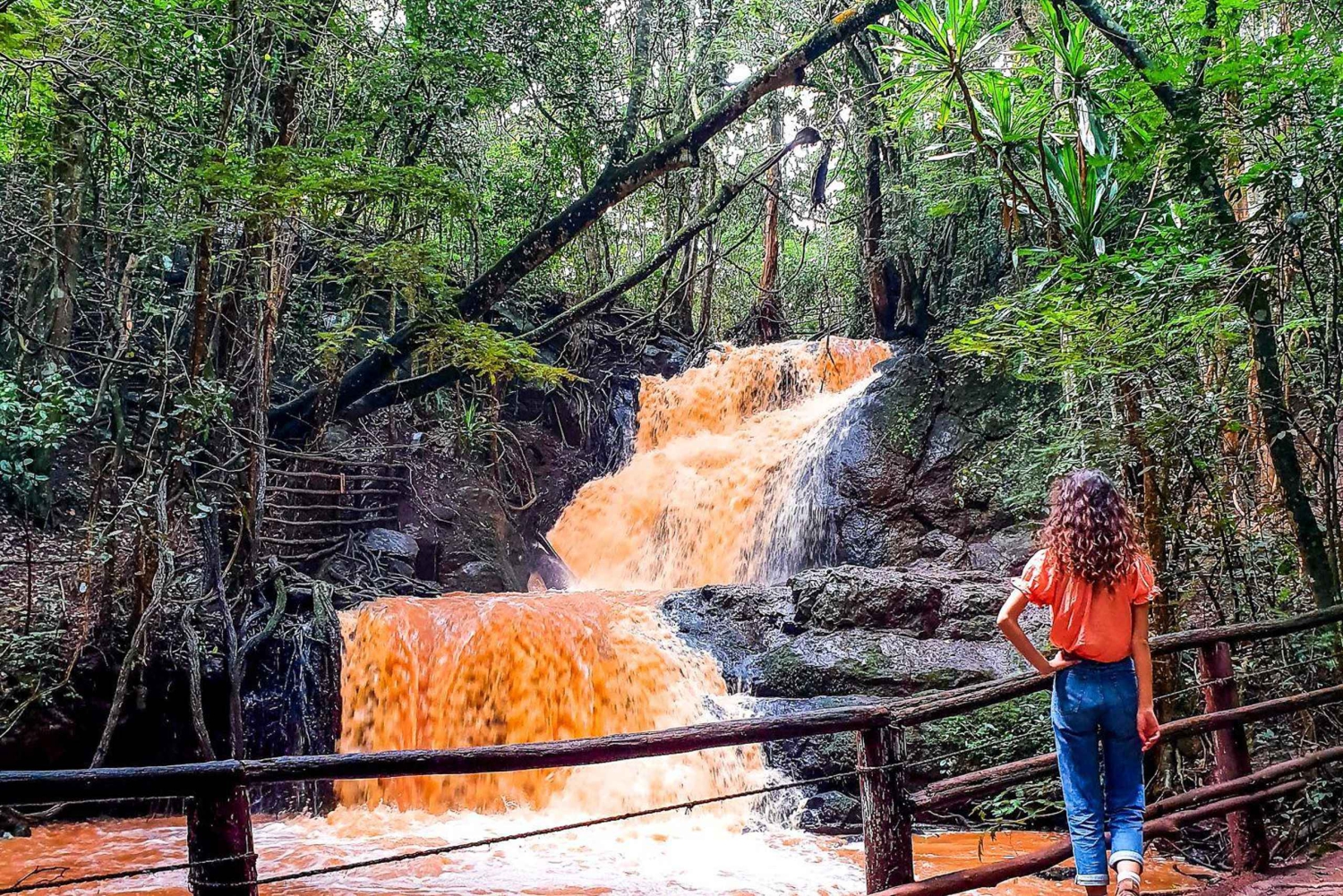 Forêt de Karura Visite à pied depuis Nairobi