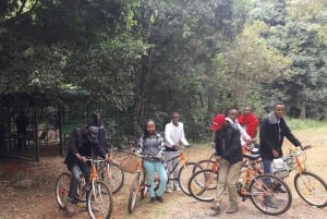 Karura forest A walking tour from Nairobi