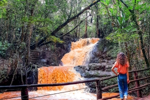 Forêt de Karura Visite à pied depuis Nairobi