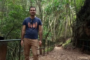 Karura forest: A walking tour into Nairobi's Nature Oasis