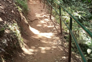 Karura forest: A walking tour into Nairobi's Nature Oasis