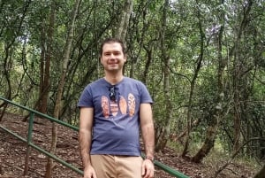 Karura forest: A walking tour into Nairobi's Nature Oasis