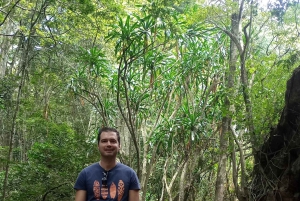 Karura forest: A walking tour into Nairobi's Nature Oasis