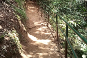 Karura forest: A walking tour into Nairobi's Nature Oasis