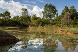 Dagtocht naar het Karurawoud vanuit Nairobi