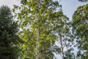 Dagtocht naar het Karurawoud vanuit Nairobi