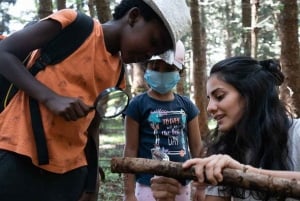 Karura Forest Guided Walking Tour in Nairobi.
